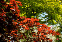 080608_N20_4436