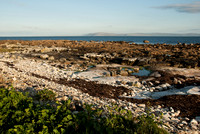 090420_N20_6454