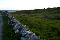 090420_N20_6464