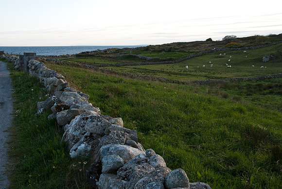 090420_N20_6464