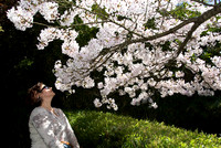SF Spring 2008