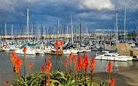 Monterey - Valentine's Day 2011