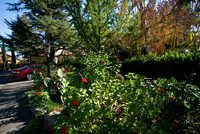 081025_N20_2178