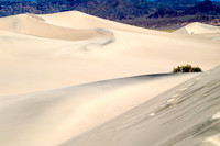 Death Valley 2005